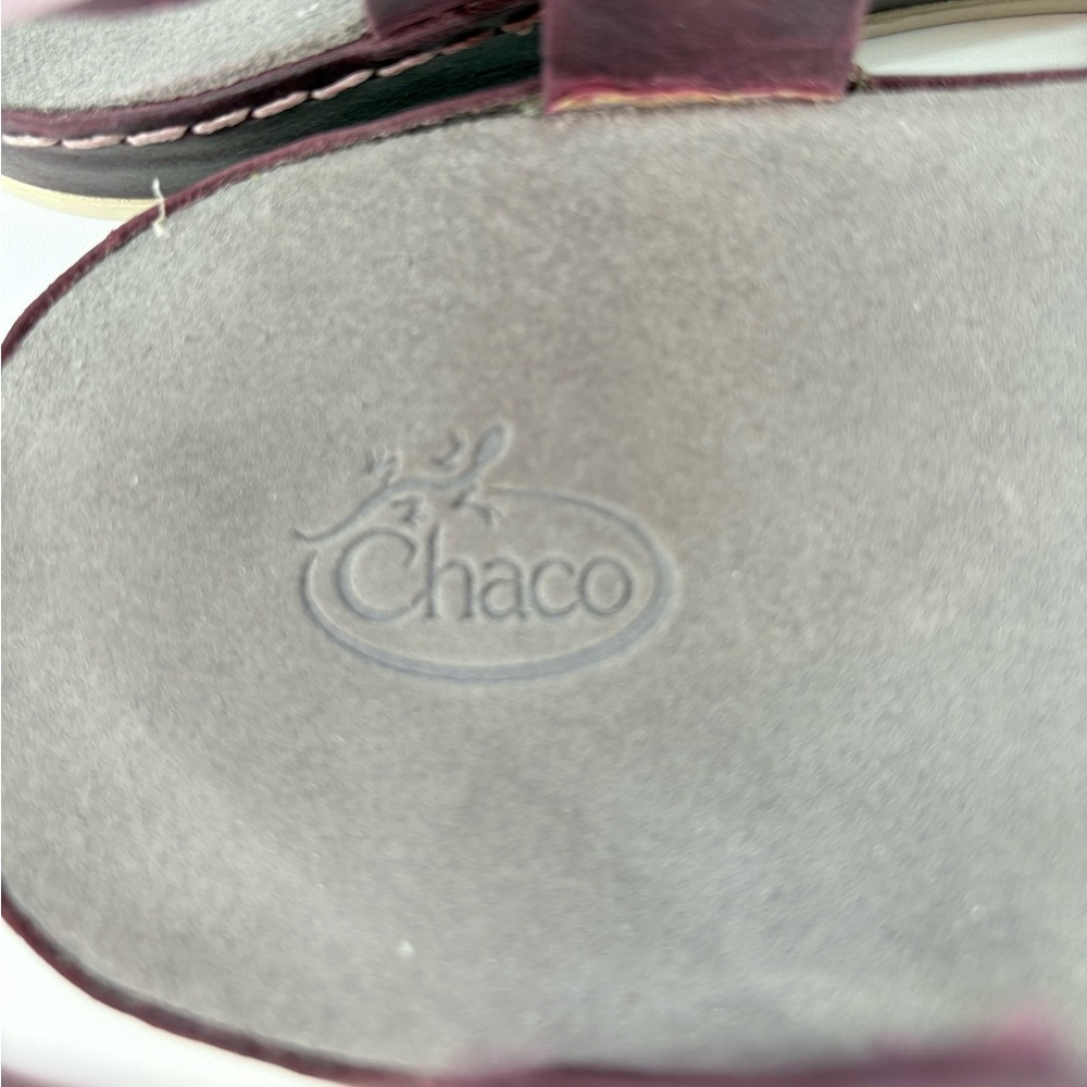 Chaco Leather Wayfarer Classic Z Sandal in Fig - Picture 13 of 15